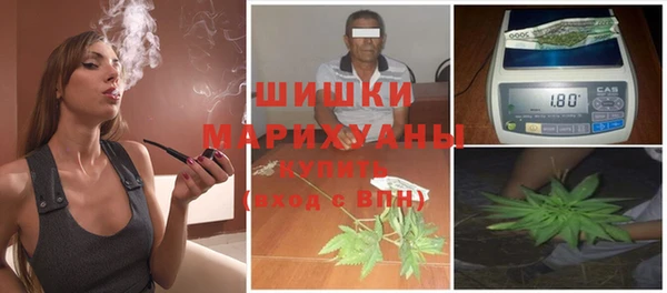 прущие грибы Кинешма
