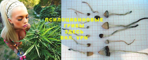 прущие грибы Кинешма