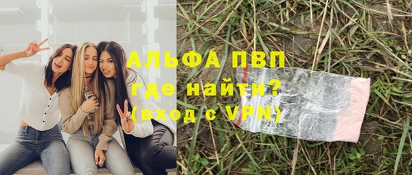 прущие грибы Кинешма