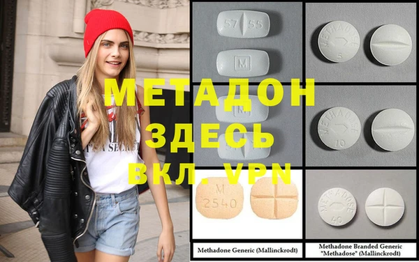 прущие грибы Кинешма
