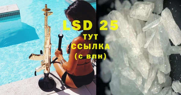 прущие грибы Кинешма