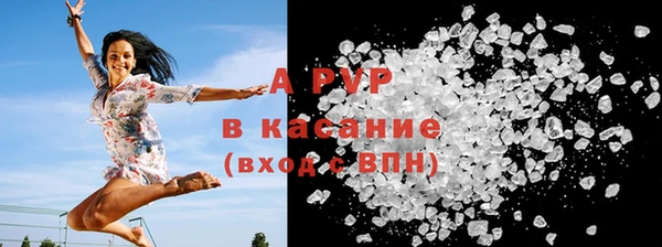 прущие грибы Кинешма