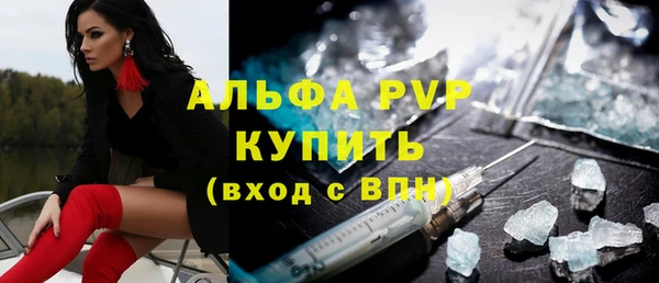 прущие грибы Кинешма